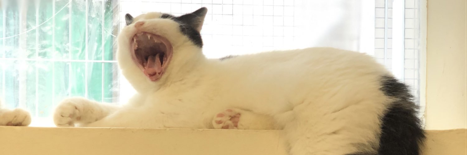 ChrisLeng_'s profile banner image