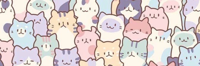 meow banner