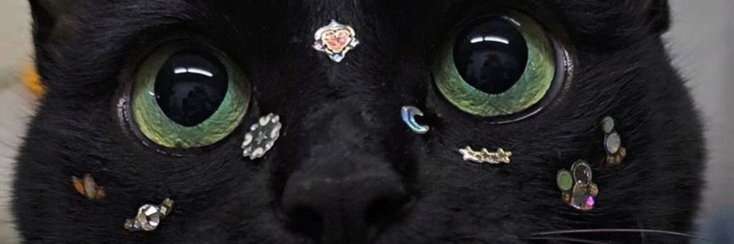 august⚝ banner