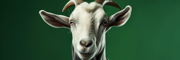 yalihameleh Profile Banner