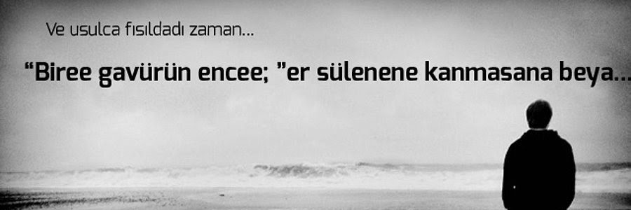 SimgeCavusoglu's profile banner image