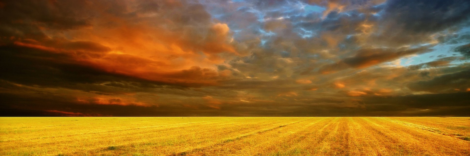 _LoriSimard_'s profile banner image