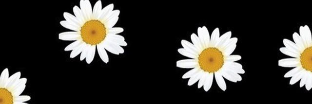 isahigi's profile banner image