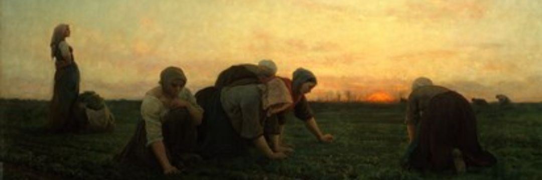 Adampoint0's profile banner image