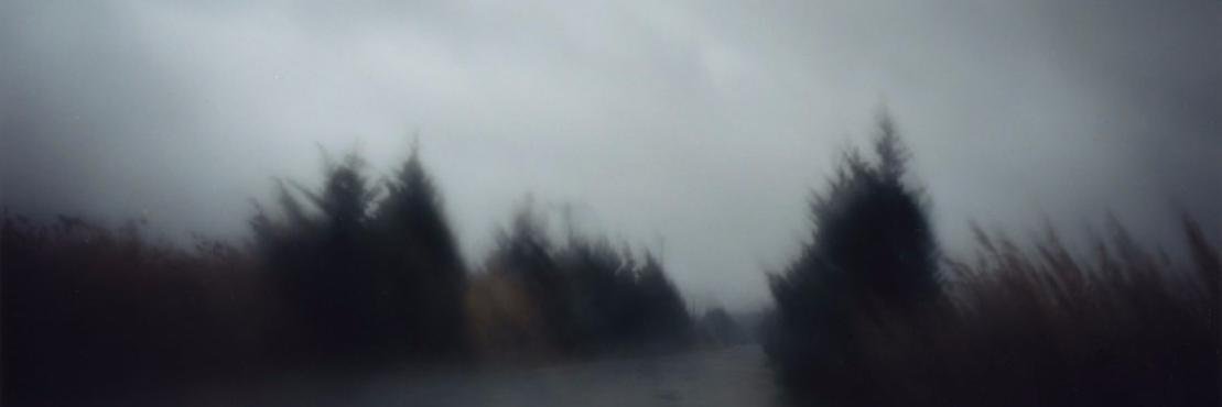 ladygrey banner