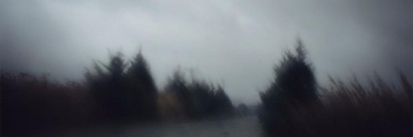 ladygrey_ Profile Banner