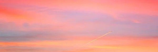 Amy 💫 banner