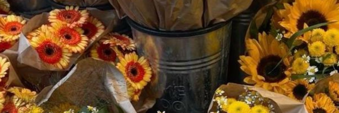 RismaDiyahP's profile banner image