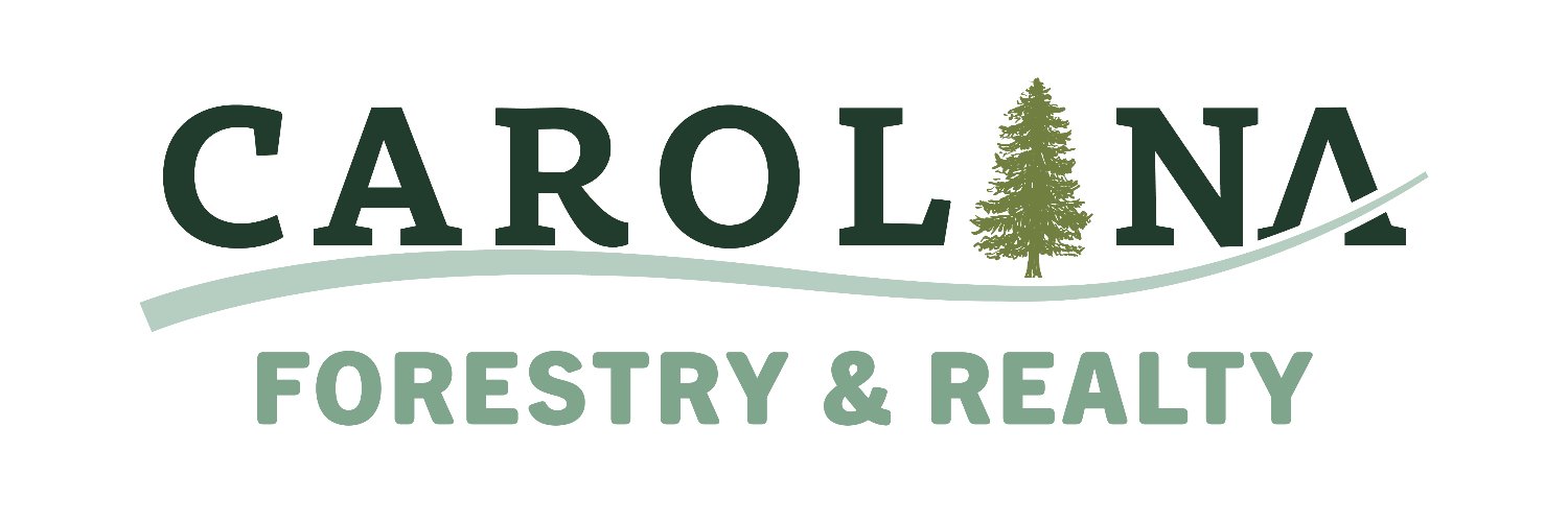 c_forestry's profile banner image