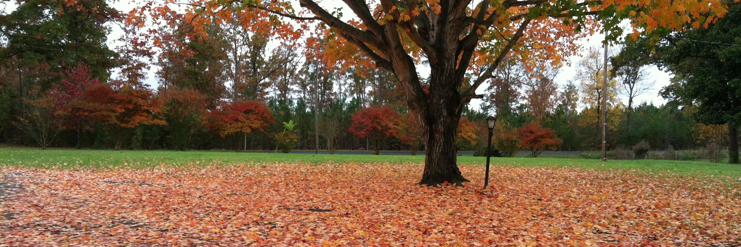 RD Undersecretary Basil I. Gooden, PhD banner