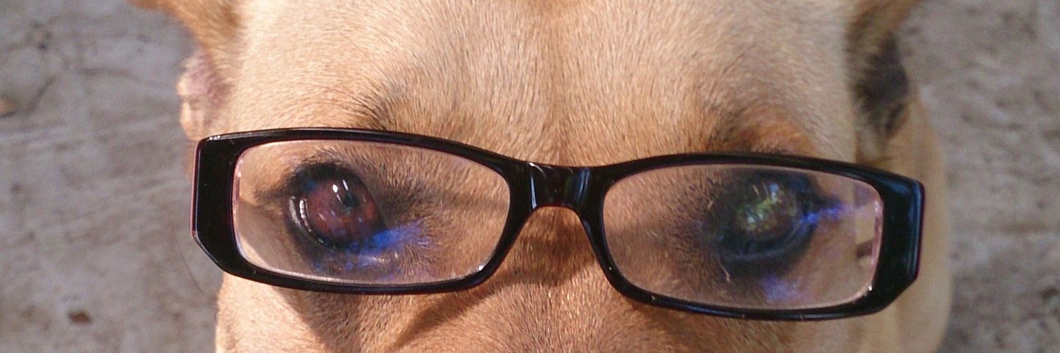 dwtsluvr's profile banner image