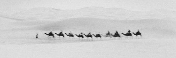 Rahmah Al Marri | رحمه المري 🌐 banner