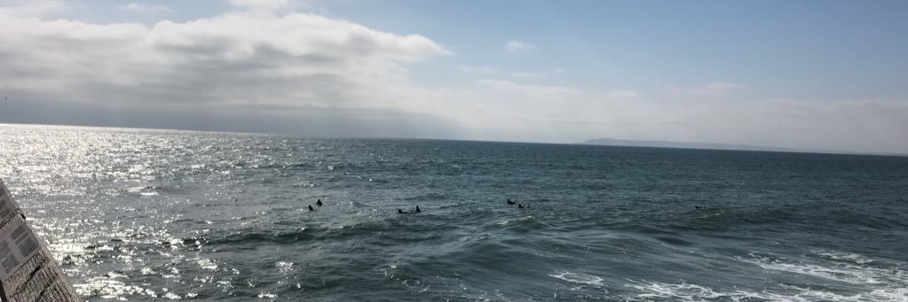 enfeugo's profile banner image
