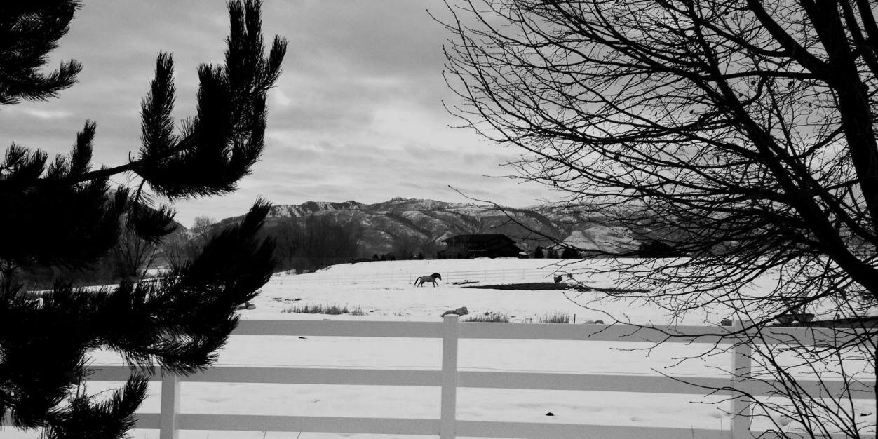 rudynoir's profile banner image