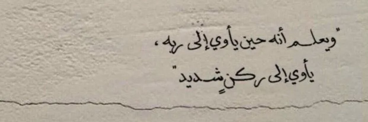 SC_Beeroo's profile banner image
