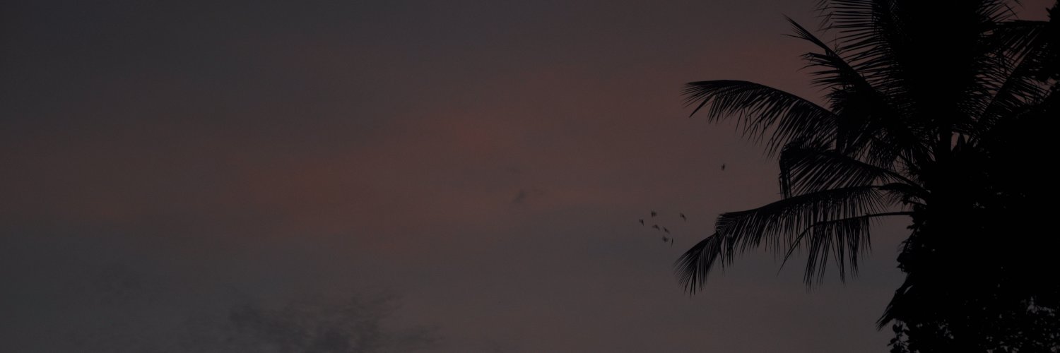 dipankara_'s profile banner image