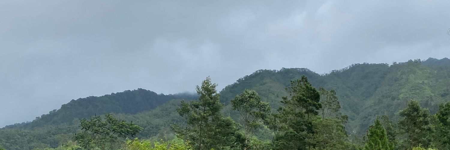mellwlae's profile banner image