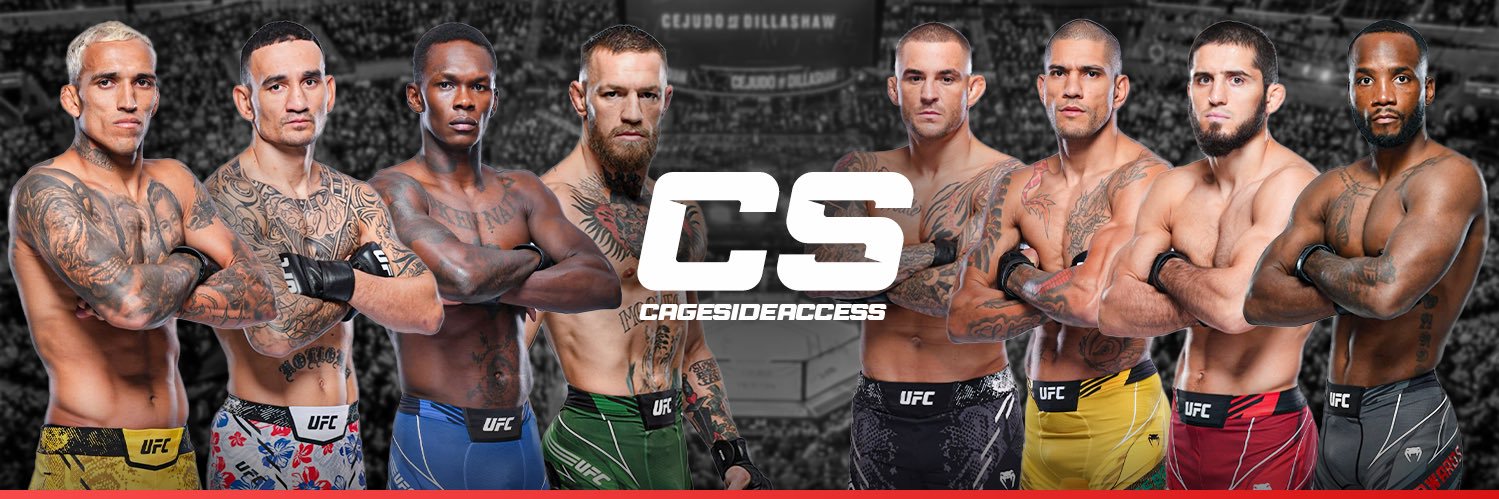 Cageside Access's banner