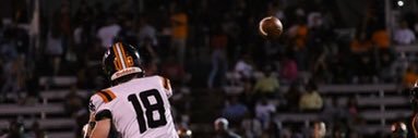 Will Travers banner