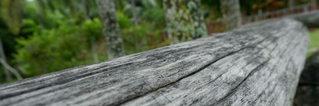 zizzy_msia's profile banner image
