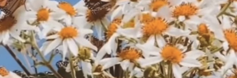 Bhubbs88's profile banner image