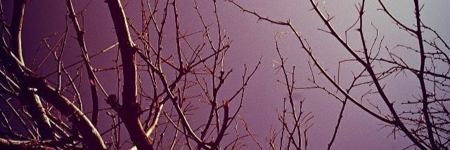 michhmiranda's profile banner image