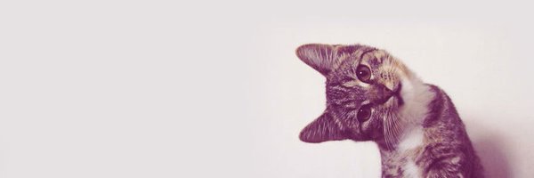 kitzys Profile Banner