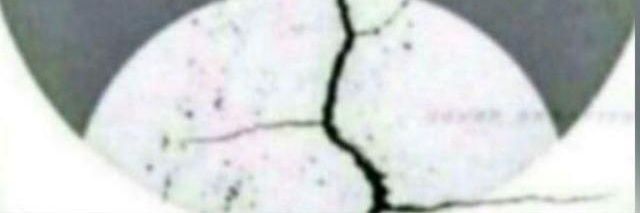 Perlinzod aloba banner