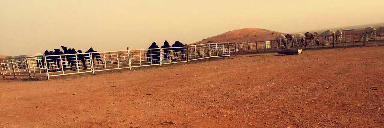 فيصل الشدادي banner