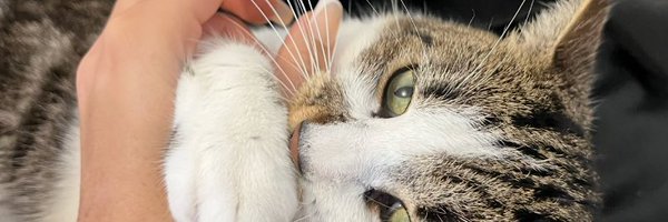 saasouuk Profile Banner