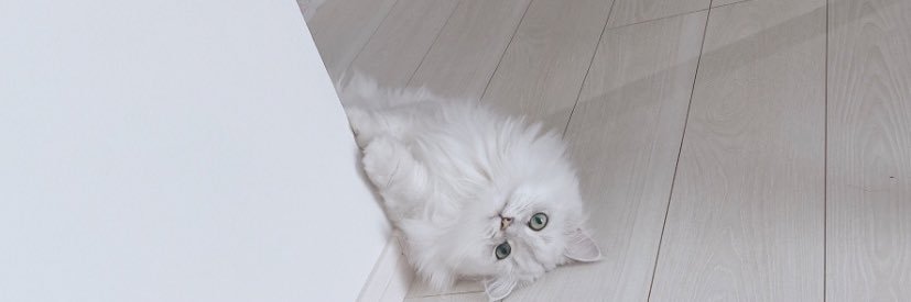 みちながありさ banner
