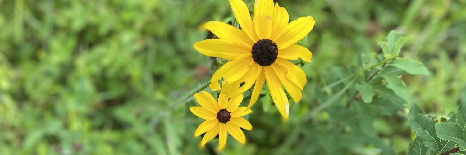 annatreeves's profile banner image