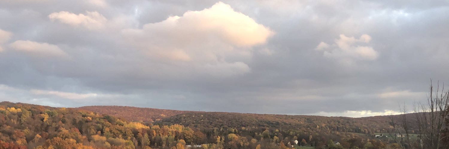 LarnBrown's profile banner image