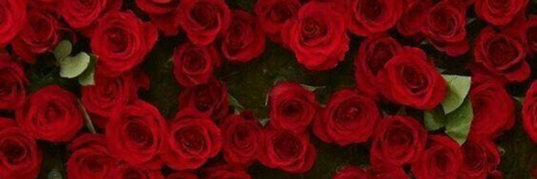 saadhamd65's profile banner image