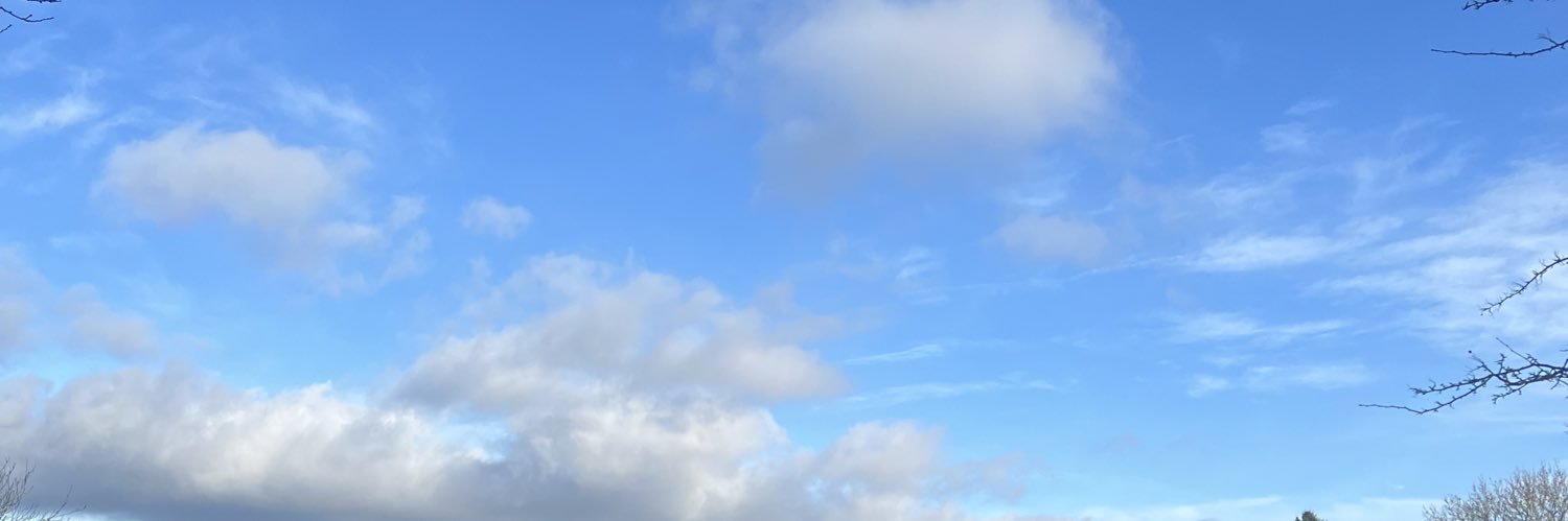 sallymohn's profile banner image