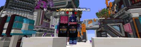 newwsl Profile Banner