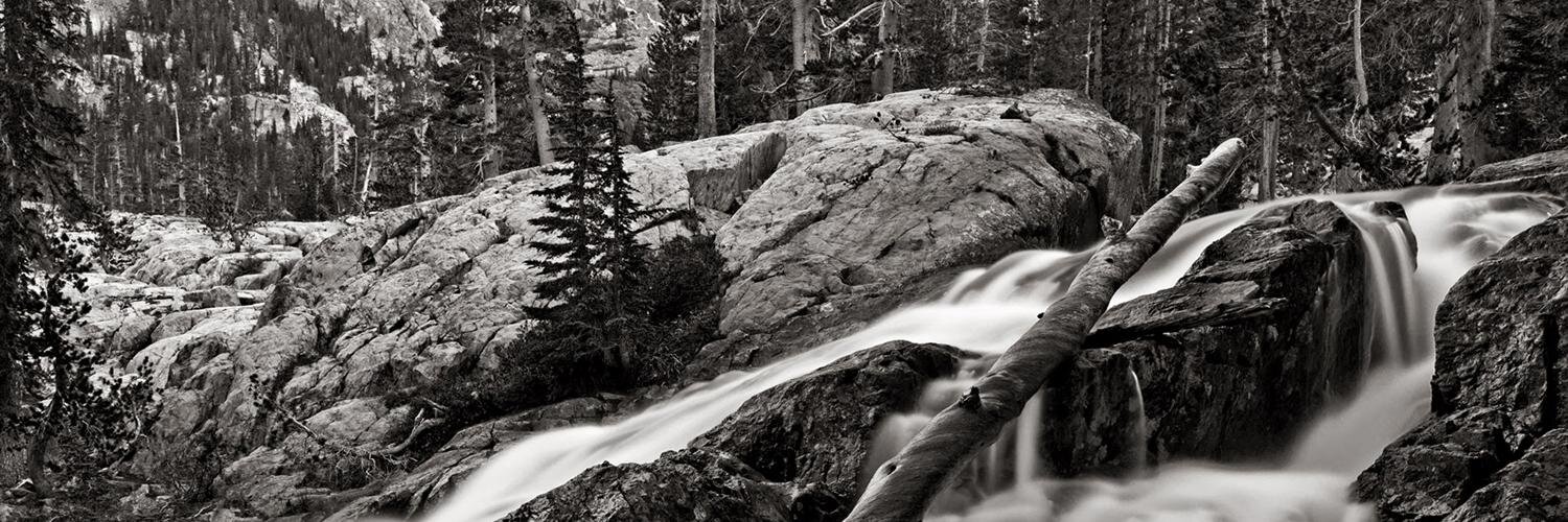 MemphisCrier's profile banner image