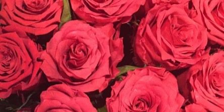Samia1812's profile banner image