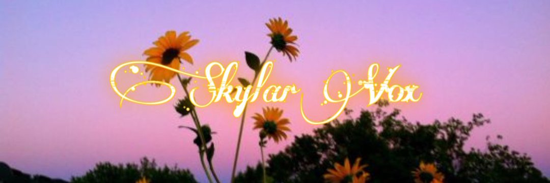 svox9831's profile banner image