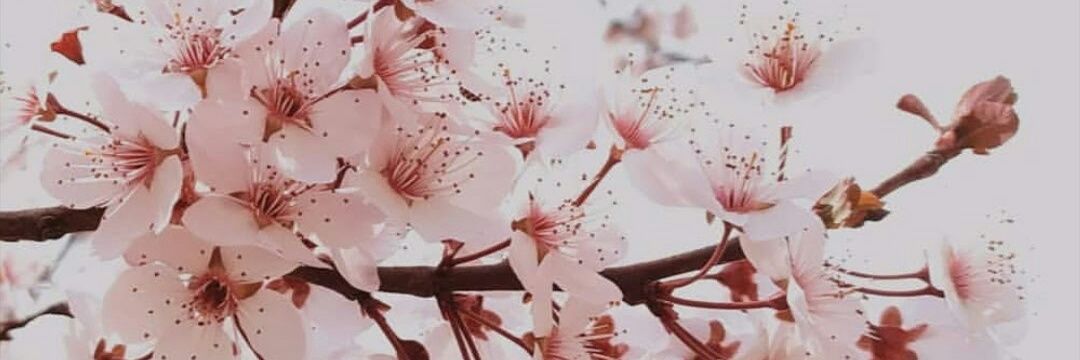 Nati_Vcp's profile banner image
