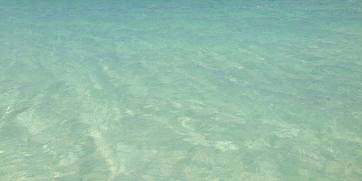 Jenabug83's profile banner image
