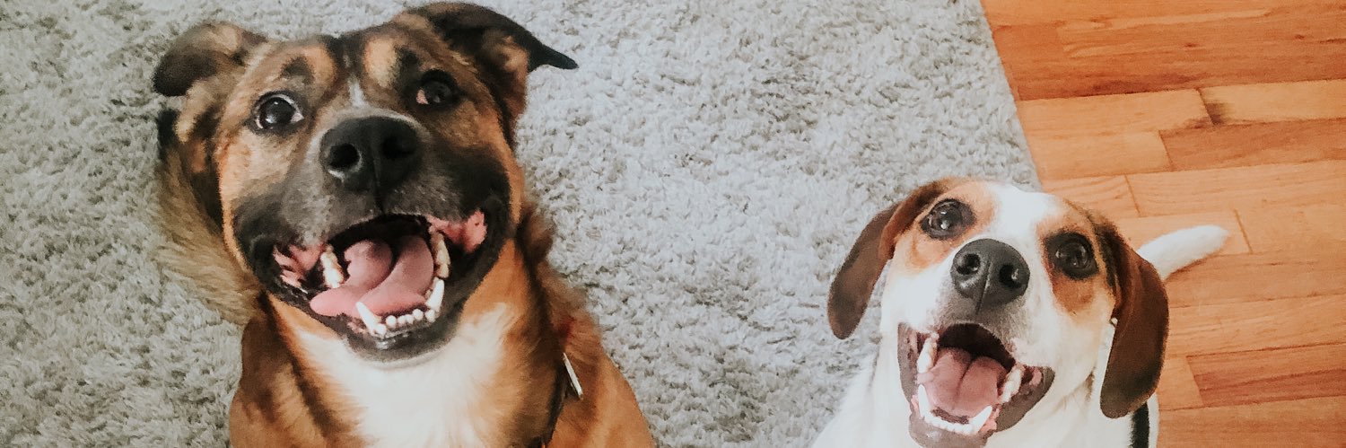 kelsorozz's profile banner image
