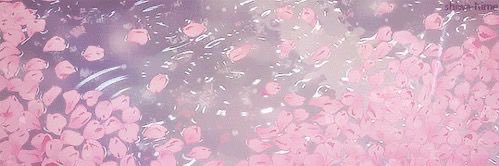 しゅしゅ🎀💛ྀི's banner