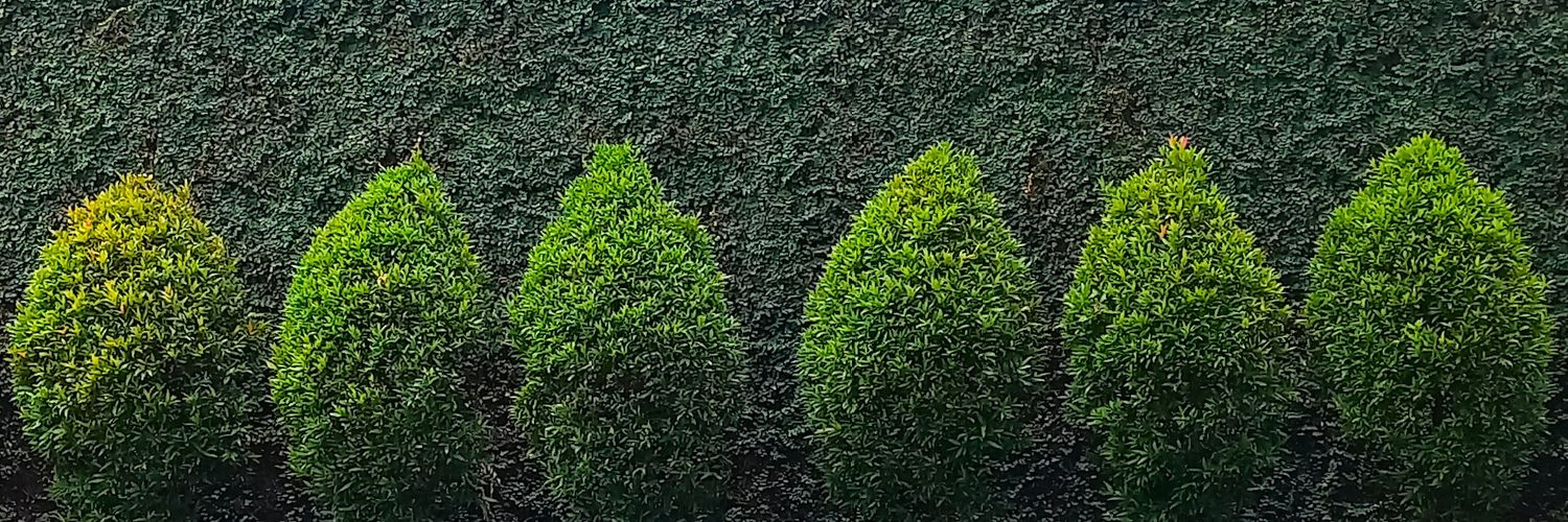 samuelgrldy's profile banner image