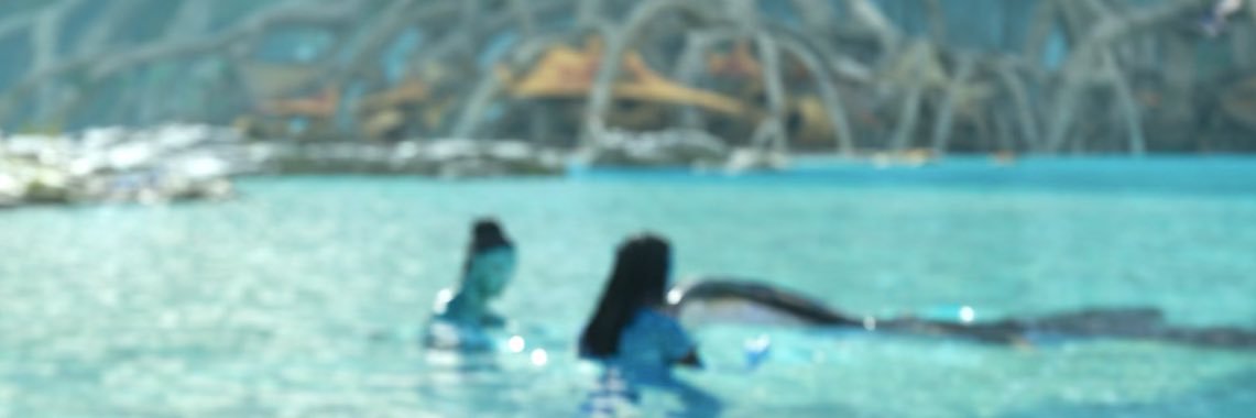 αησυк ଳ ‧₊˚ ⋅'s banner