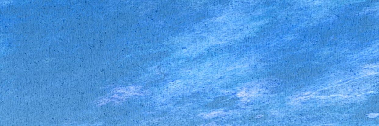 문화고양이 banner