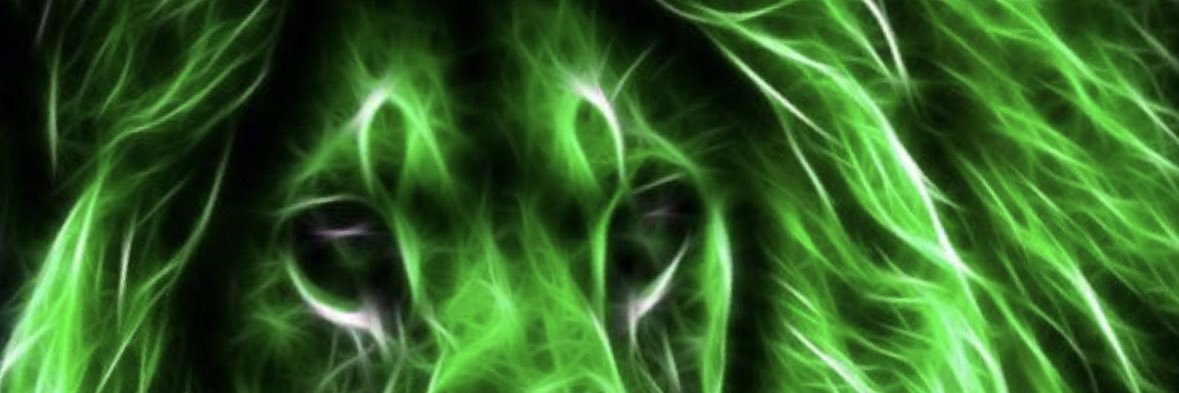 FaresbcoLion's profile banner image
