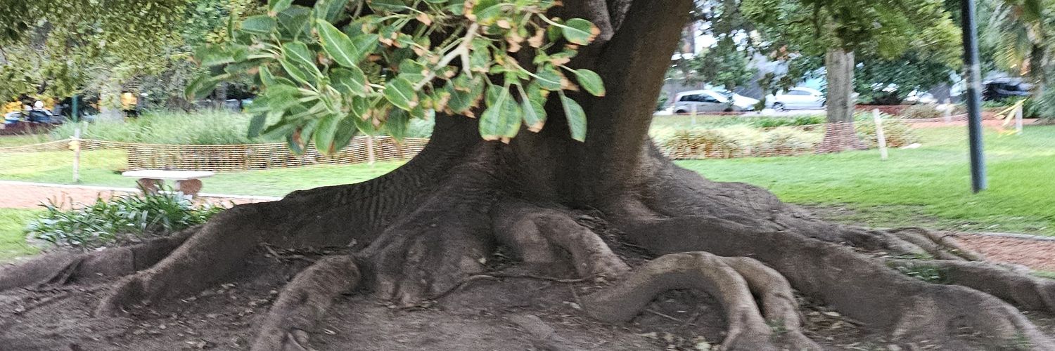 TakaRuiz's profile banner image