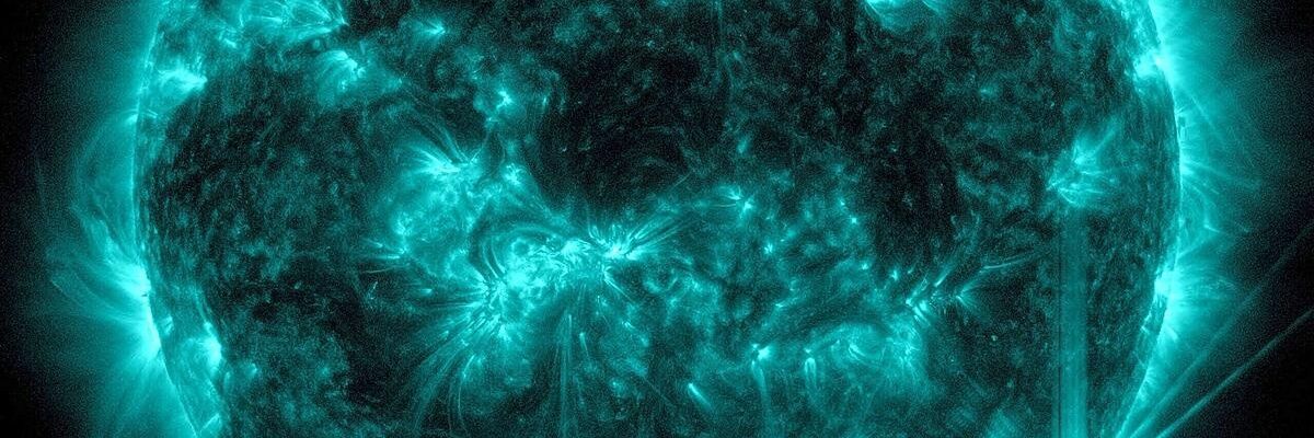 suspicious Sam banner