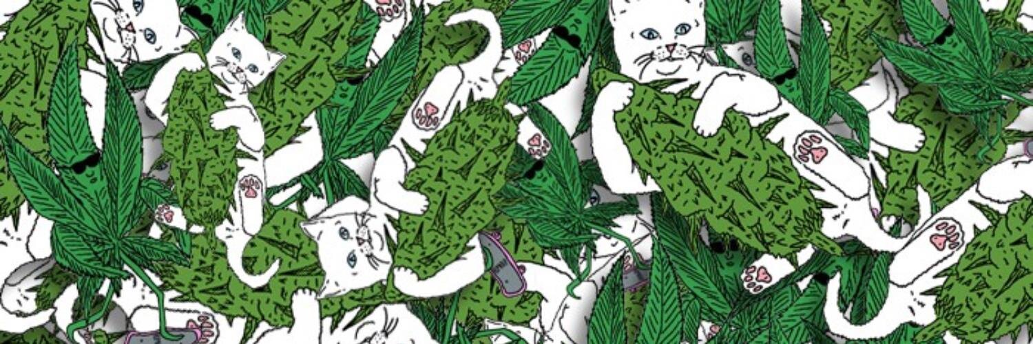 acatonacid's profile banner image